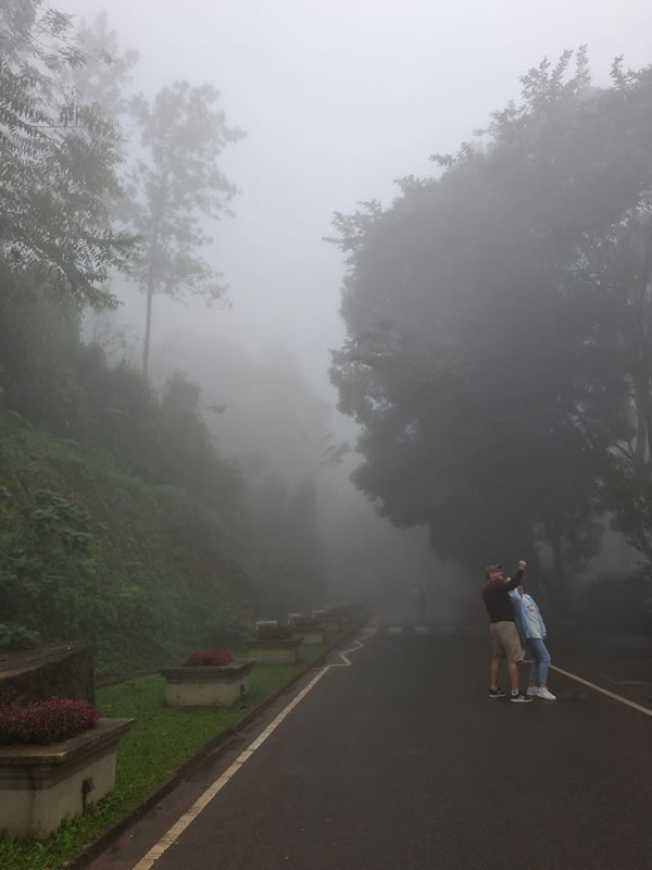 WhatsApp Image 2026-04-27 at 4.26.53 PM